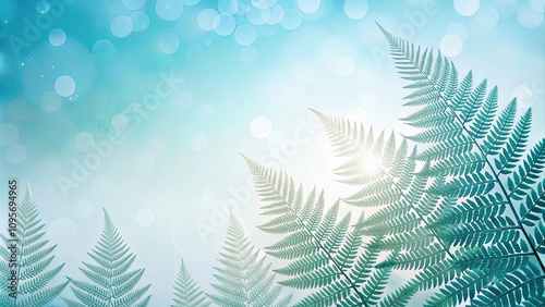 Serene Fern Fronds Silhouetted Against a Soft, Bright, Blue Sky Background with Bokeh Lighting Effects