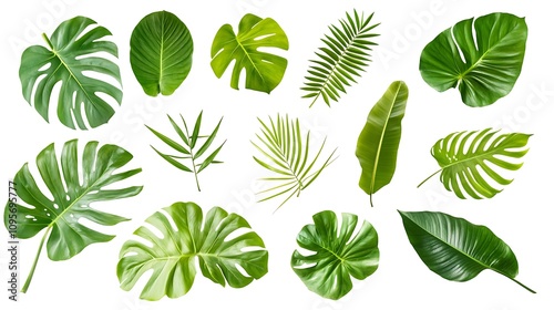 Vibrant Tropical Leaves Collection: Studio Shot on White Background. AI Generated