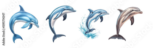 Four illustrations of dolphins showcasing various actions and expressions. photo