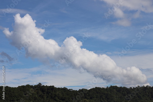 white smoke plume or line of clouds above dense rain forest against blue skies (sky)