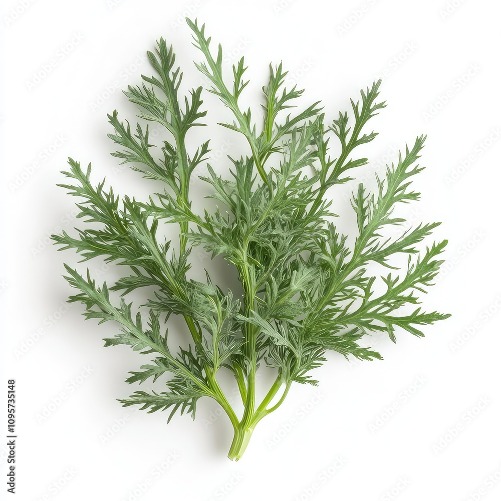 Obraz premium Wormwoos Plant Leaf, Generative AI