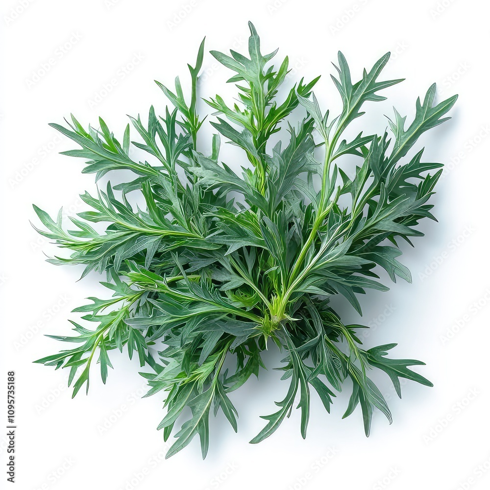 Wormwoos Plant Leaf, Generative AI Wormwoos Plant Leaf, Generative AI