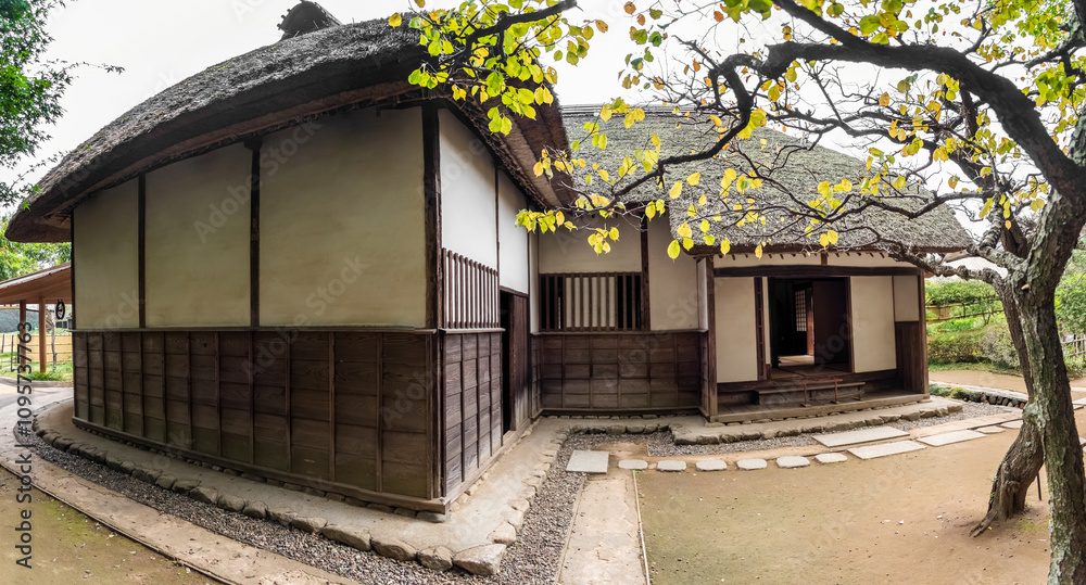Traditional Japanese house with thatched roof and surrounding garden in serene landscape