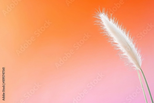 Nature scene featuring soft white feather on warm background