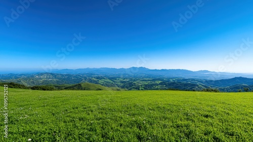 A large, open field with a clear blue sky