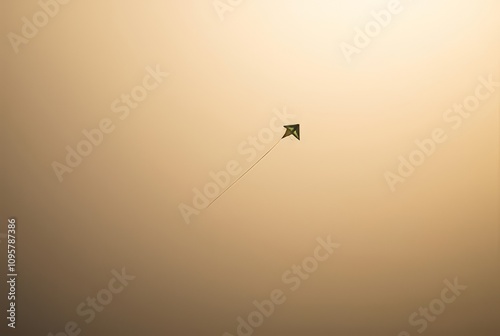 _ - A high-altitude shadow, faint and small, cast by a kite flyi photo