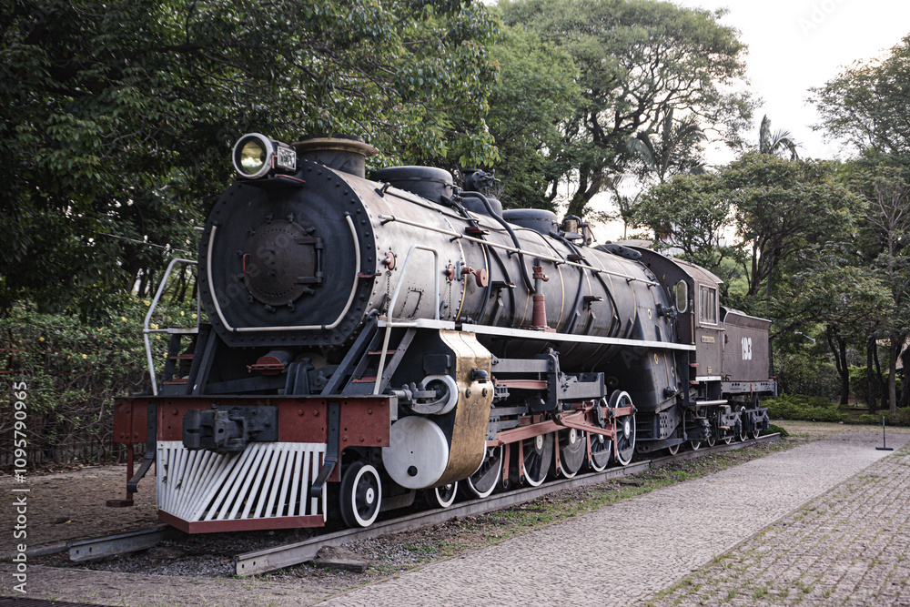 Fototapeta premium An antique steam locomotive displayed outdoors, showcasing intricate details and historic design. The train's metal structure contrasts with a softly blurred background, emphasizing its vintage charm.