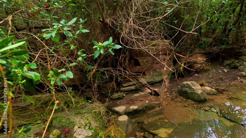 Hermosos barranco donde se sitúa la pequeña fuente del piojo en cirat Hermosos barranco donde se sitúa la pequeña fuente del piojo en cirat