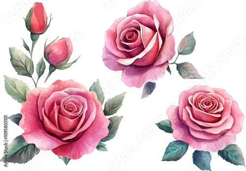 Watercolor Pink Rose Flower Clipart,Perfect for Wedding Designs