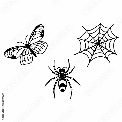 set of insects collections illustrations vector art isolated white background 