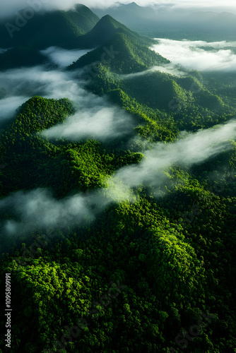 Misty Mountain Rainforest A...