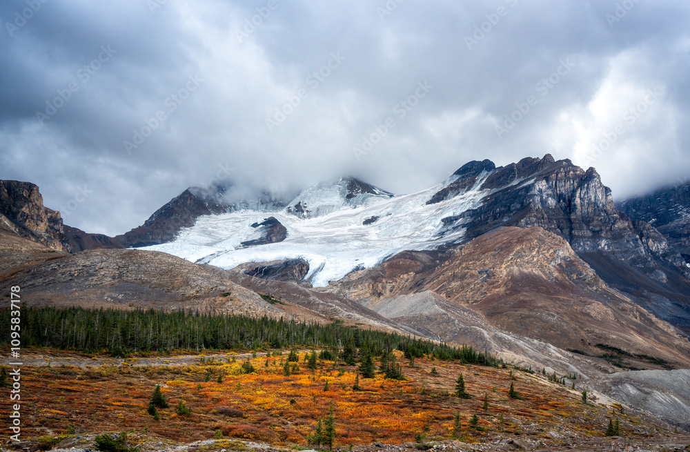Fototapeta premium tundra under snow mountain and cloudy sky