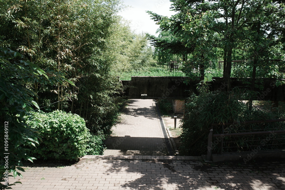 korea, seoul, park, forest, garden, public, architecture korea, seoul, park, forest, garden, public, architecture