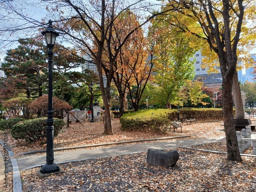 autumn in the city
