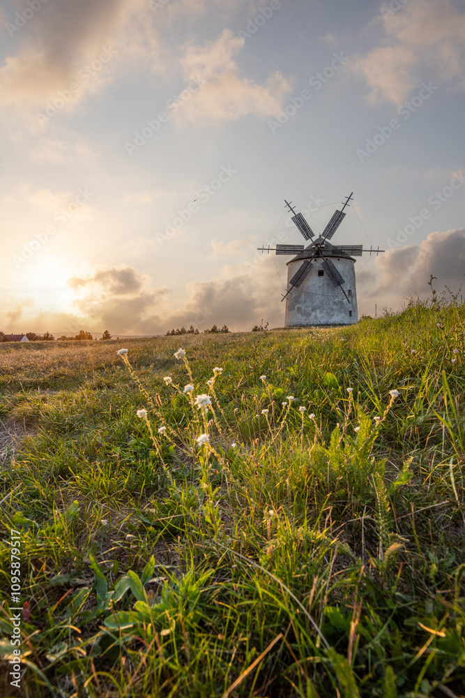 Windmill with wooden wings in a landscape setting. Fields, meadows and flowers appear in the sunset. Landscape shot in nature with a mill. historically untypical for the Balaton region in Hungary Windmill with wooden wings in a landscape setting. Fields, meadows and flowers appear in the sunset. Landscape shot in nature with a mill. historically untypical for the Balaton region in Hungary