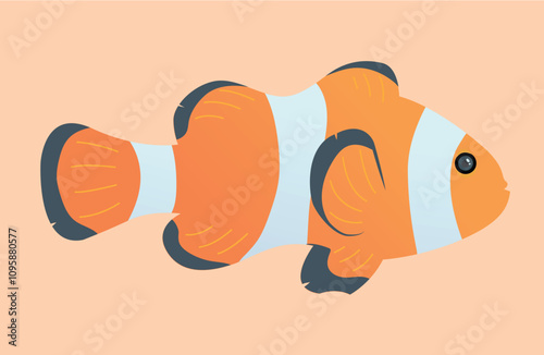 clown fish vector illustration