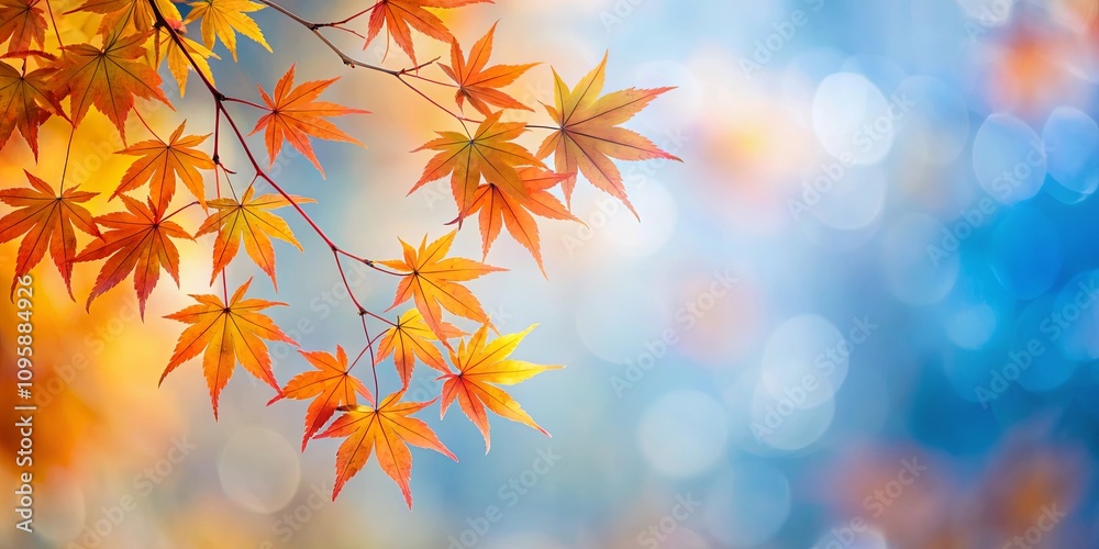 Autumnal Maple Leaves Against a Soft Bokeh Background Autumnal Maple Leaves Against a Soft Bokeh Background