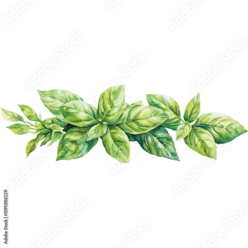 A vibrant illustration of green basil leaves arranged in a natural, flowing manner, showcasing their texture and color.