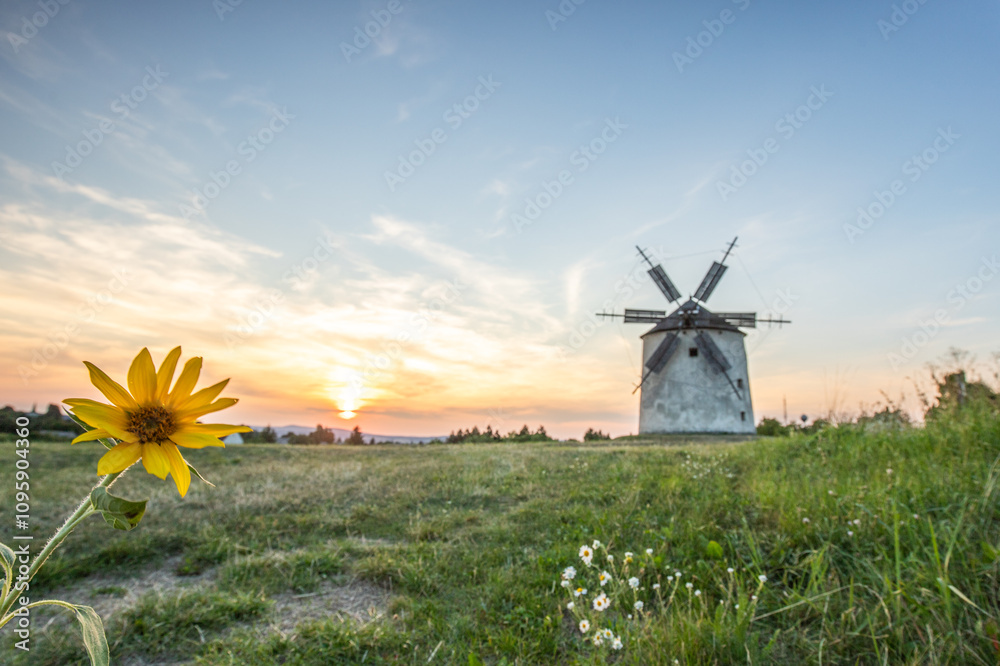 Windmill with wooden wings in a landscape setting. Fields, meadows and flowers appear in the sunset. Landscape shot in nature with a mill. historically untypical for the Balaton region in Hungary Windmill with wooden wings in a landscape setting. Fields, meadows and flowers appear in the sunset. Landscape shot in nature with a mill. historically untypical for the Balaton region in Hungary