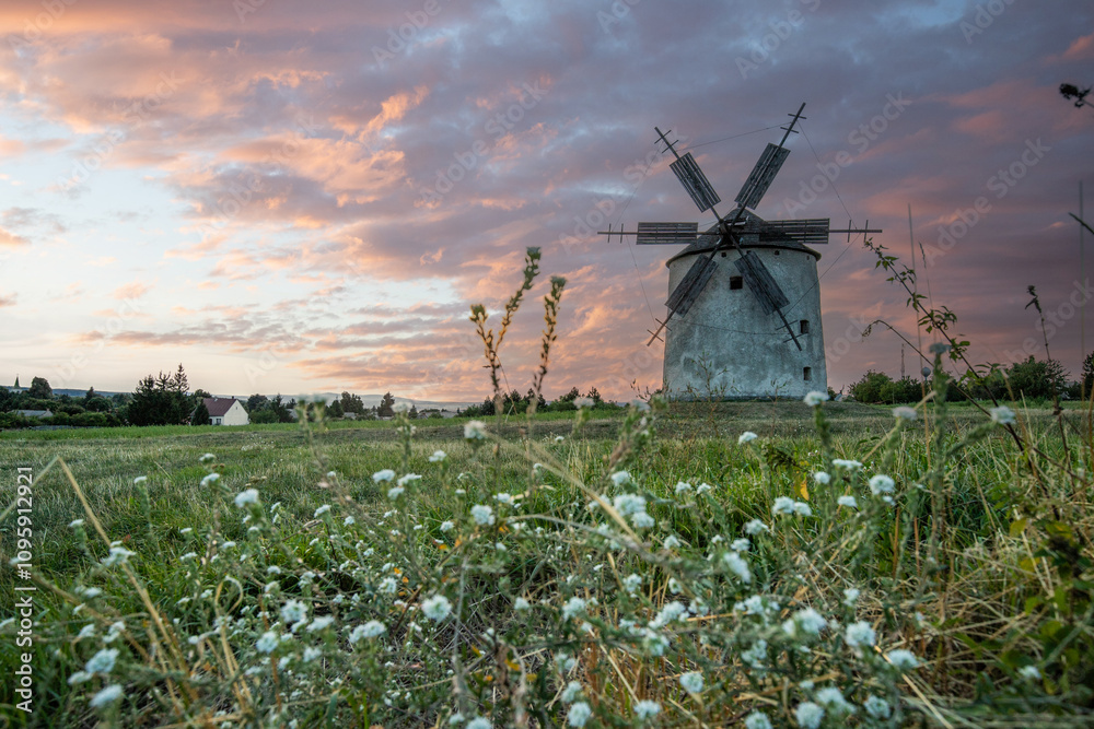 Windmill with wooden wings in a landscape setting. Fields, meadows and flowers appear in the sunset. Landscape shot in nature with a mill. historically untypical for the Balaton region in Hungary Windmill with wooden wings in a landscape setting. Fields, meadows and flowers appear in the sunset. Landscape shot in nature with a mill. historically untypical for the Balaton region in Hungary