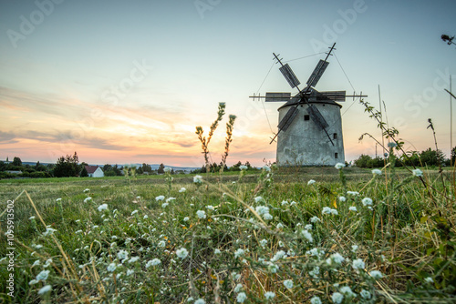 Windmill with wooden wings in a landscape setting. Fields, meadows and flowers appear in the sunset. Landscape shot in nature with a mill. historically untypical for the Balaton region in Hungary photo