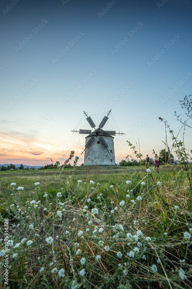 Windmill with wooden wings in a landscape setting. Fields, meadows and flowers appear in the sunset. Landscape shot in nature with a mill. historically untypical for the Balaton region in Hungary Windmill with wooden wings in a landscape setting. Fields, meadows and flowers appear in the sunset. Landscape shot in nature with a mill. historically untypical for the Balaton region in Hungary