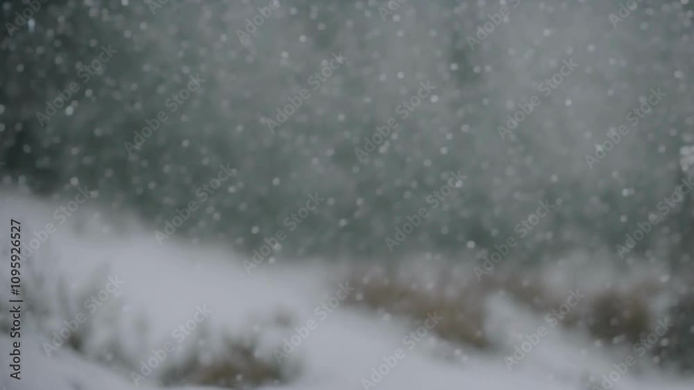 Snowfall Snow Snowing Stock 4K Video , Snowfall  HD Video