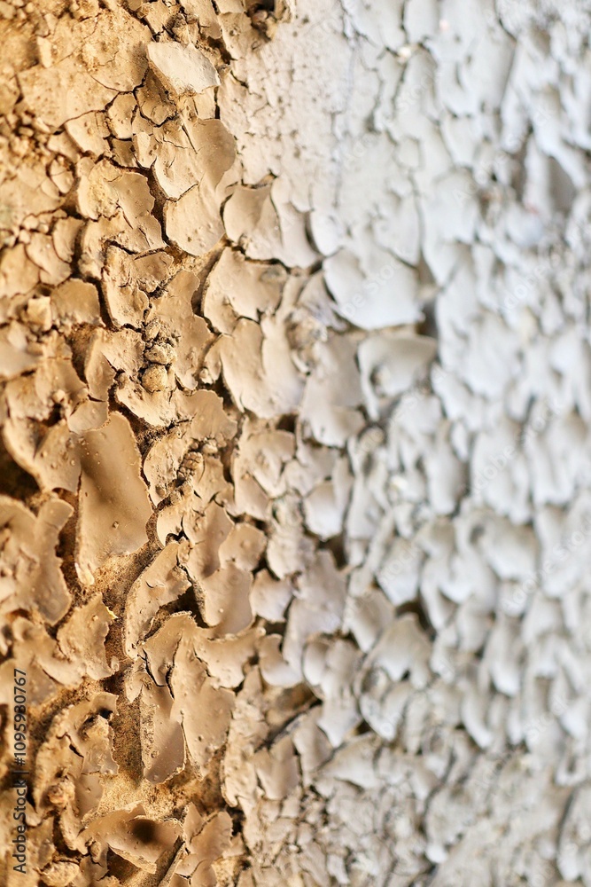 texture of the stone texture of the stone