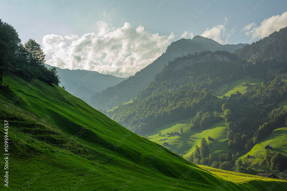 Fototapeta premium Dreamy mountain landscape with verdant green pastures and golden hour sunlight
