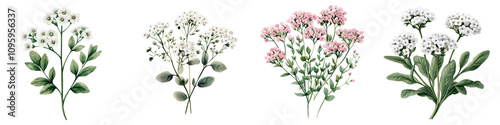 Delicate Watercolor Alyssum Flower Bouquet