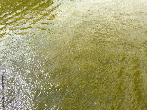 Canvas Print The water is murky and has a greenish tint