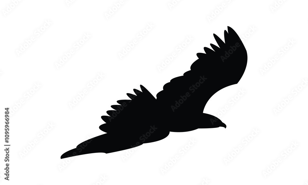 Flying Eagle Silhouette Design And Vector Illustration. Flying Eagle Silhouette Design And Vector Illustration.