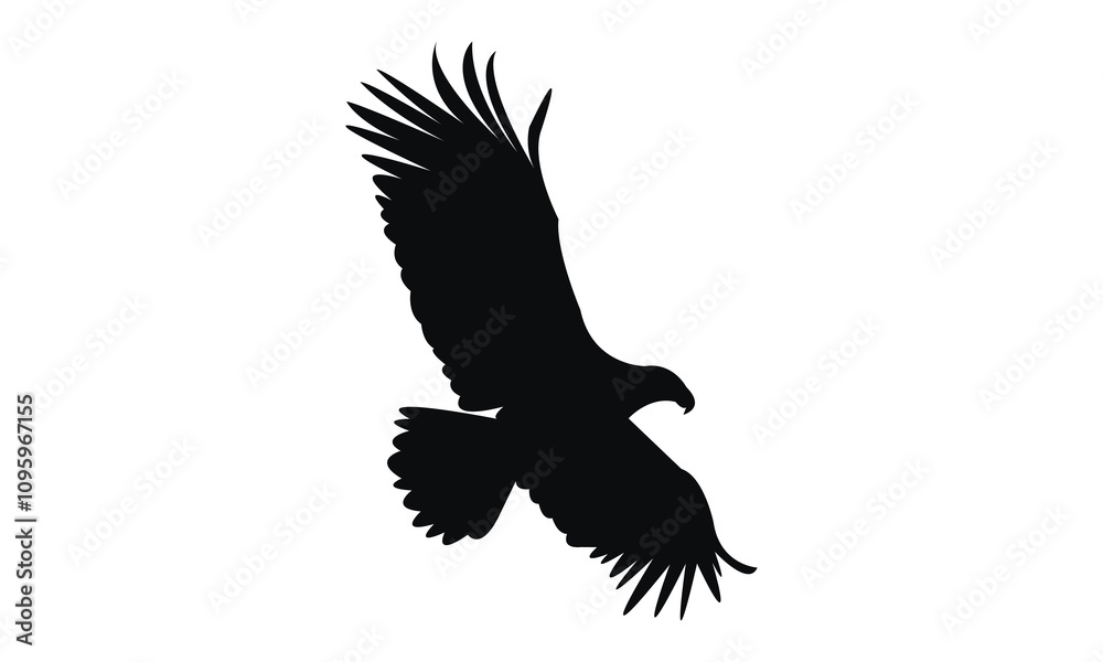 Flying Eagle Silhouette Design And Vector Illustration. Flying Eagle Silhouette Design And Vector Illustration.