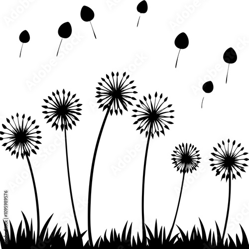 dandelion flower background