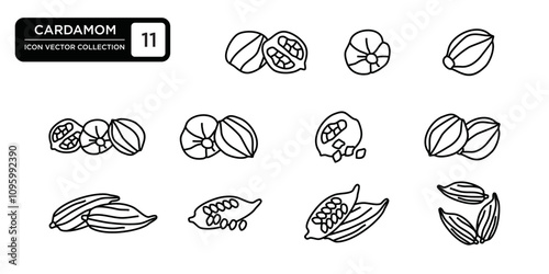 Cardamom icon collection, editable and resizable vector icon templates