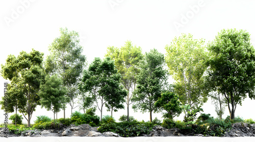 Wallpaper Mural 3D Render of Lush Green Trees on Rocky Hillside, Isolated on White Background Torontodigital.ca