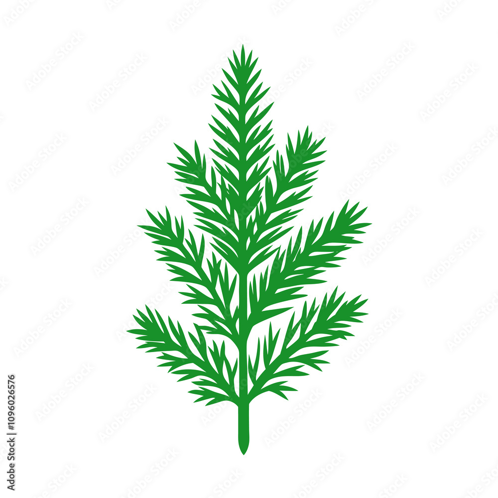leaf of a tree leaf of a tree