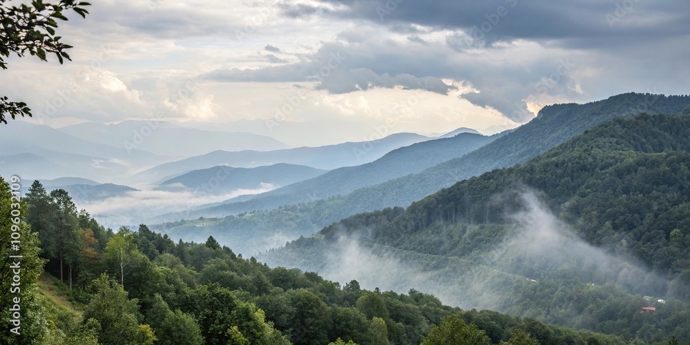 Misty mountainside landscape with foggy grey clouds and misty atmosphere, mist, landscape, misty, clouds Misty mountainside landscape with foggy grey clouds and misty atmosphere, mist, landscape, misty, clouds