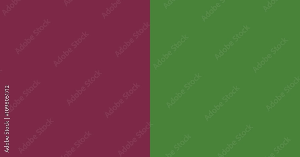 Obraz premium Stylish Two-Color Pattern for Website Layout