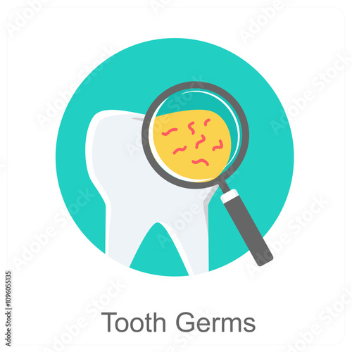 Tooth Germs