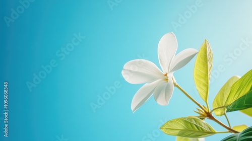 Low Angle Perspective of Newly Constructed Elements