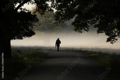 Принти на полотні Misty morning road with a lone figure