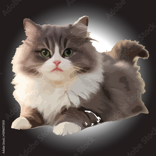 The cat is looking very cutie