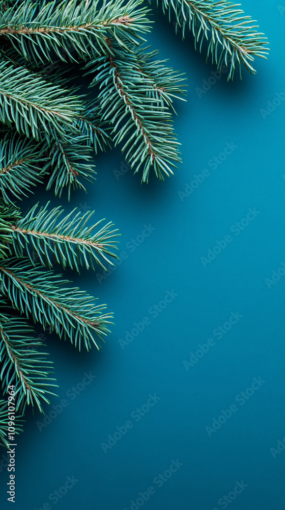 Obraz premium Serene composition of lush fir branches set against a teal background, ideal for holiday cards, seasonal promotions, or tranquil home decor.