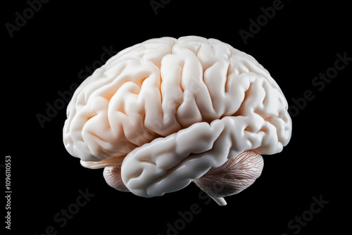 Brain Background