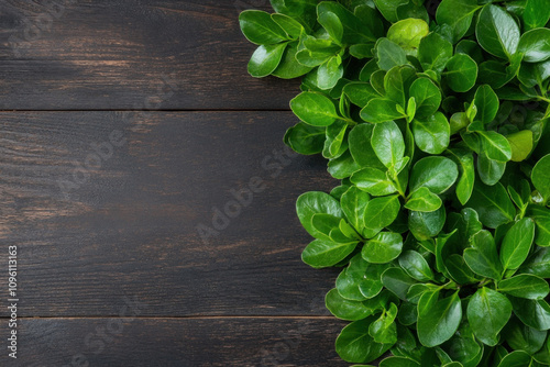Indian Food Background