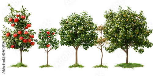 big apple trees collection isolated on transparent backgrounds