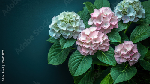 Mint Colour Background