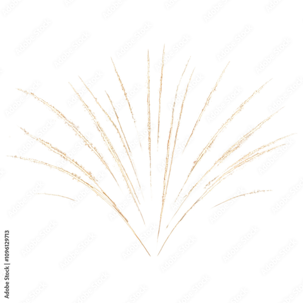 Fototapeta premium Fireworks png