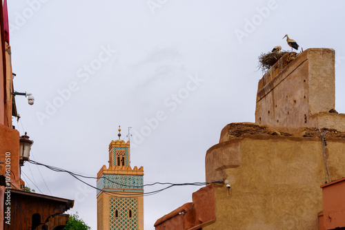 Storks on a rooftop, Medina of Marrakesh,